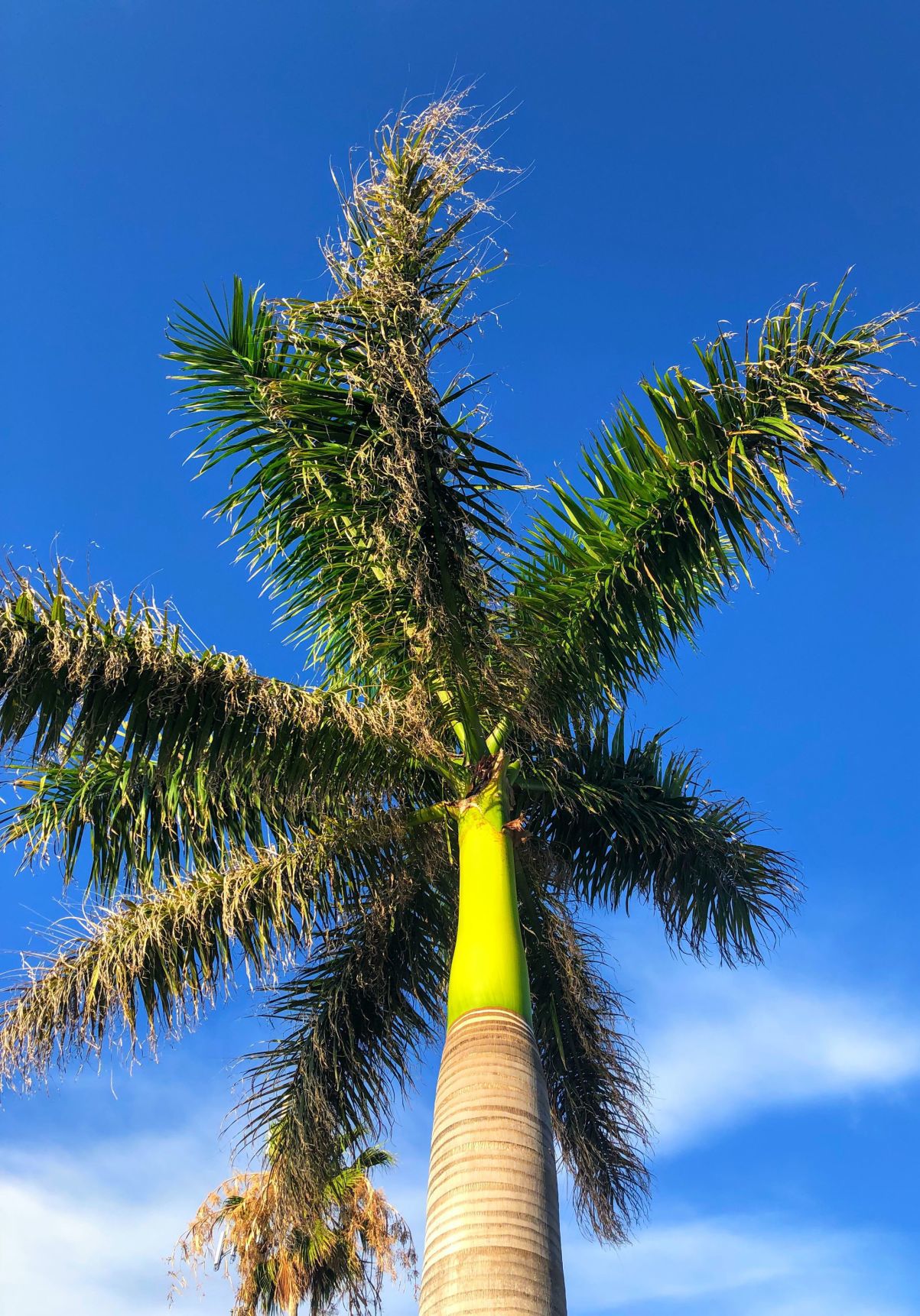 Florida summer vacation